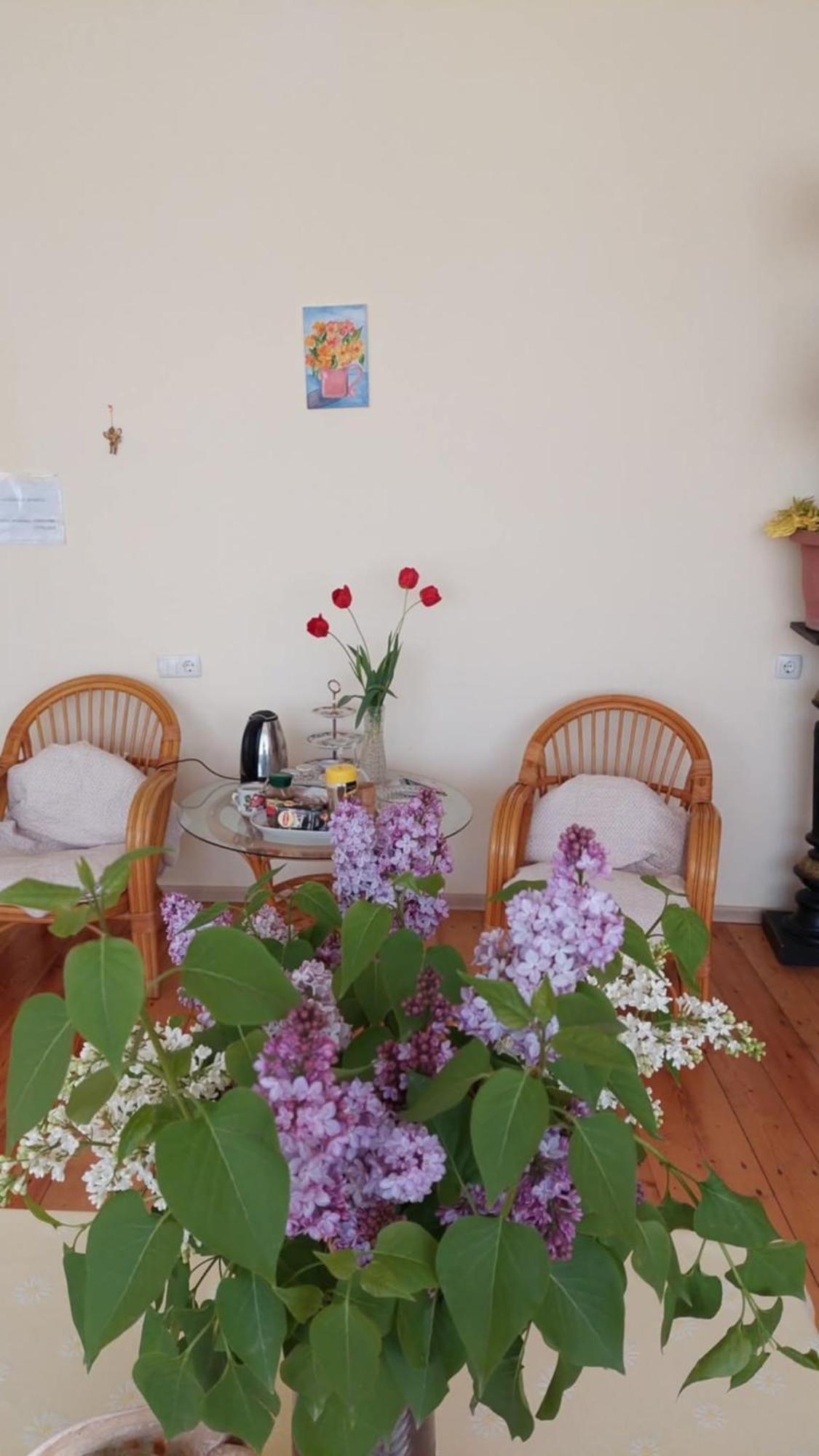 Guesthouse "Door" In Siğnaği Dış mekan fotoğraf