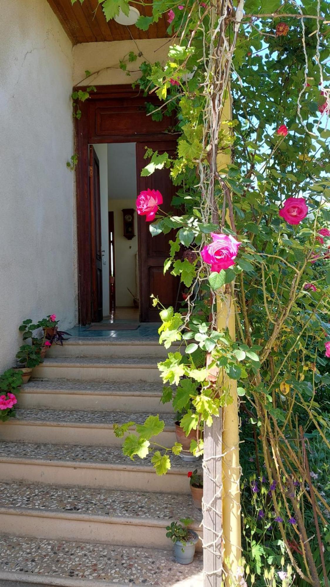 Guesthouse "Door" In Siğnaği Dış mekan fotoğraf
